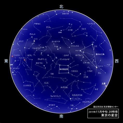 11月28日是什麼星座|11月28日出生是什么星座